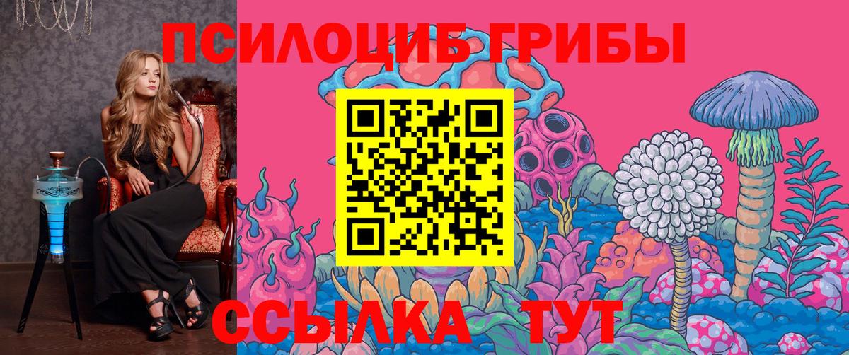 Псилоцибиновые грибы прущие грибы  Галлюциногенные грибы ЛСД  Вход с VPN  Сунжа 